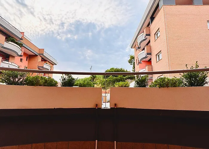 Il Violoncello Velletri